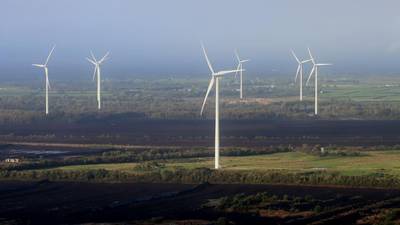 24 Irish wind farms to open their operations to businesses