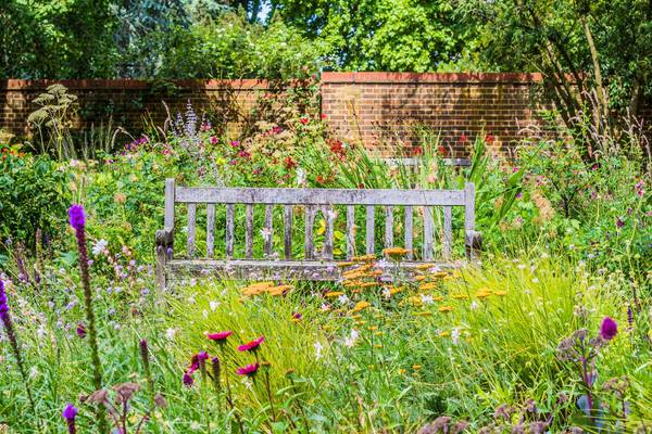 Get into your garden: it makes you happier, healthier and less stressed