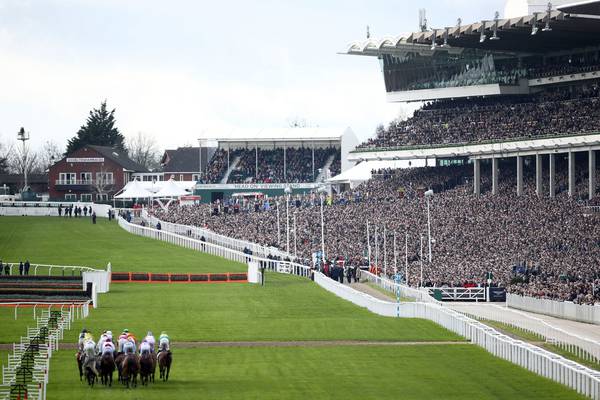 Cheltenham's horsey set unmoved by some poxy little global pandemic