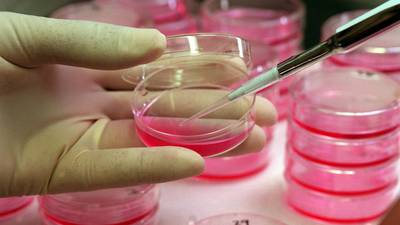 Irish women to take part in ground-breaking breast cancer  trial