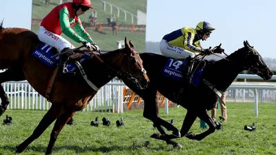 Willoughby Court ruled out of Cheltenham Festival