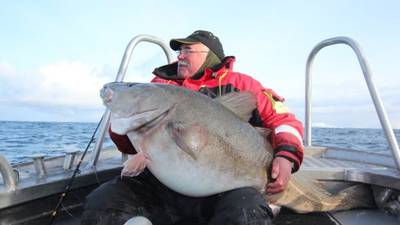 Angling Notes:  Record set for biggest  cod caught by British angler