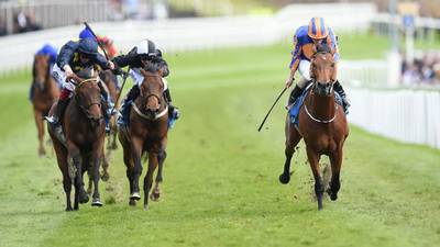 Hans Holbein speeds into Derby picture with victory in Chester Vase
