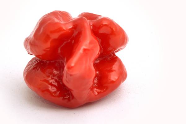 Man hit by ‘thunderclap headaches’ after eating world’s hottest chilli pepper