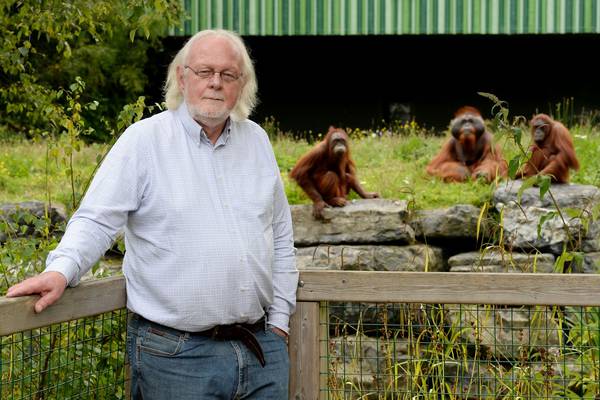 Mr Dublin Zoo: ‘I see things no one else sees. It’s magical’