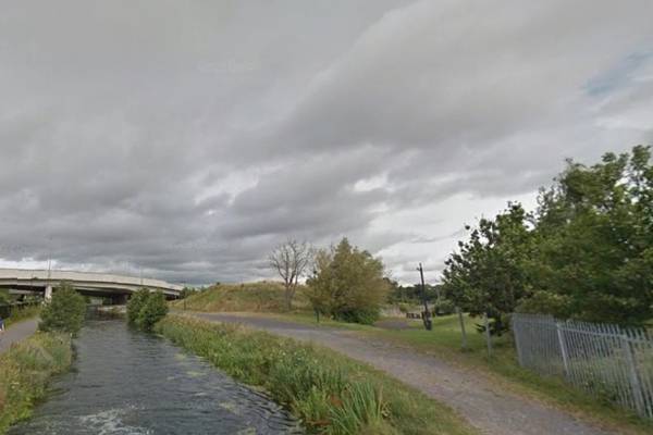 Gardaí investigate after woman pushed into Royal Canal following alleged racial abuse