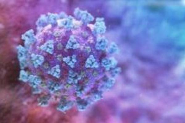 Delta variant as contagious as chickenpox, says US health-protection agency