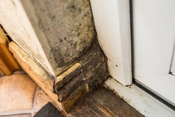 Washing, cooking and breathing blamed for mould in Dublin council flat complexes