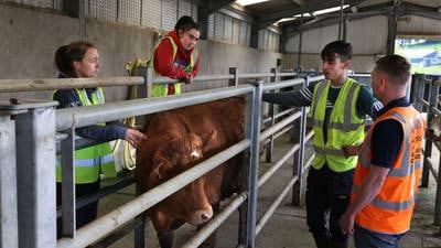 How Ireland’s young farmers are facing up to their generation’s financial, social, and environmental challenges