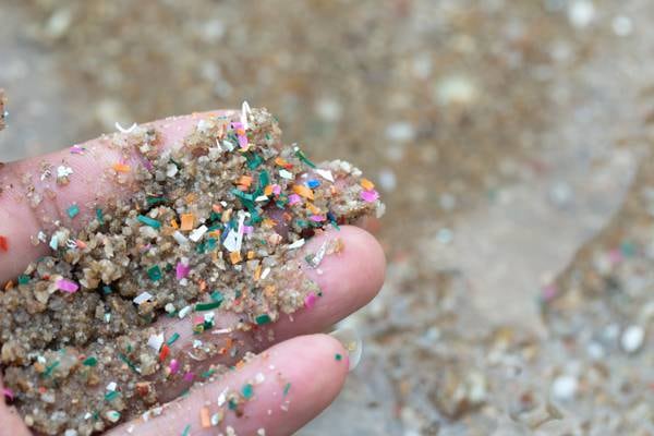 Microplastics are in the heart, lungs, penis, breast milk. Can we keep them out of our bodies?
