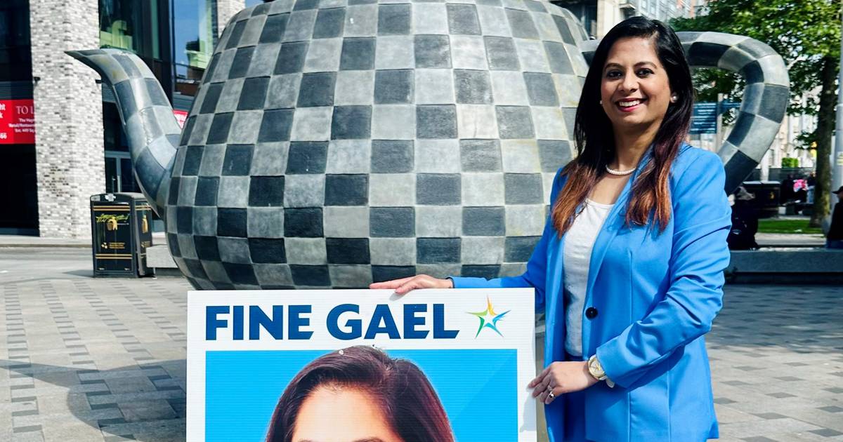 Canvassing in local elections is ‘intimidating’ and ‘demoralising’, says FG migrant candidate