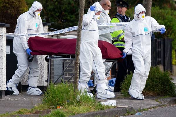 Dublin criminal expected to seek revenge for Hamid Sanambar murder