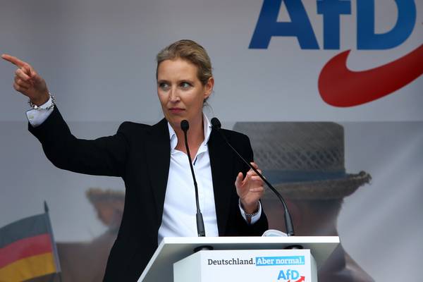AfD struggles for populist traction ahead of German election