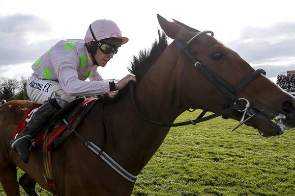 Willie Mullins’ vet could face a 10-year ban