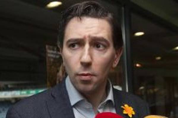 Hospitals face €700m shortfall if private income removed -  Harris