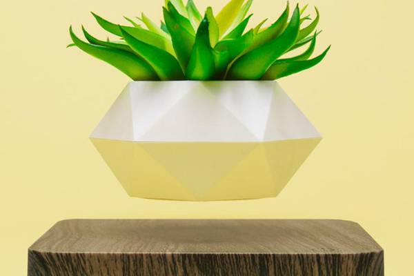 Levitos Plant pot: What’s not to like about levitating greenery?