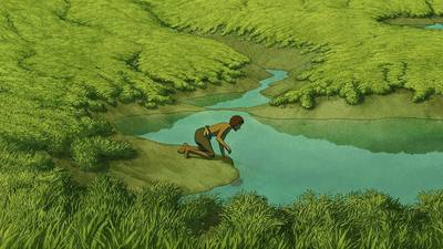 The Red Turtle Cannes review: Studio Ghibli makes a stylish return