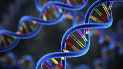 DNA collection firm focus of data protection inquiry