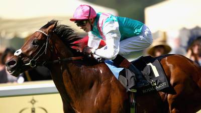 Exceptional miler and Classic winner Kingman retired to stud