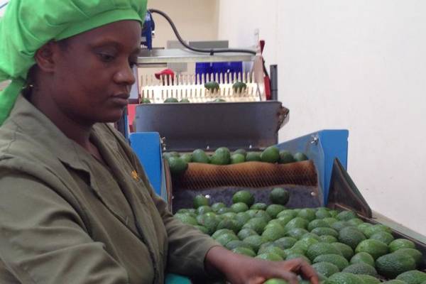 TruTrade cashless platform helps African farmers grow businesses