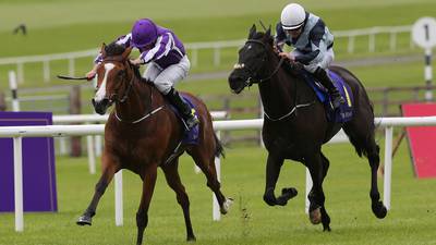 Minding and Found could carry O’Brien’s hopes in Irish Champion Stakes