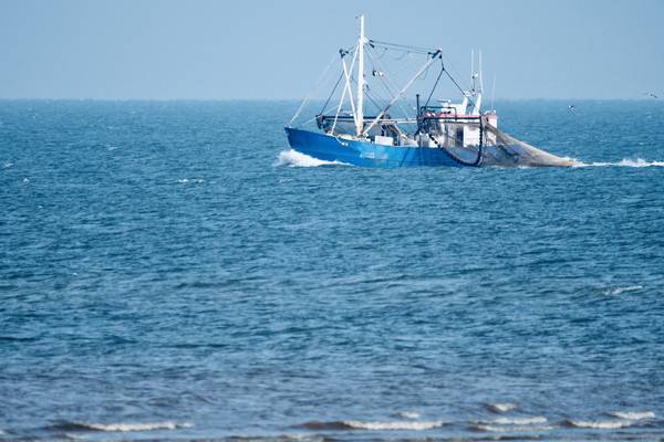 Migrant fisherman tells WRC he was underpaid €37,000 by Wexford trawler operator