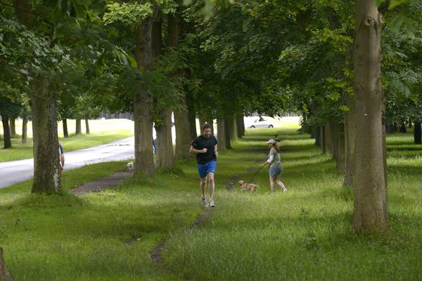 Ten wild runs in Dublin – combine exercise and nature in a locked-down capital
