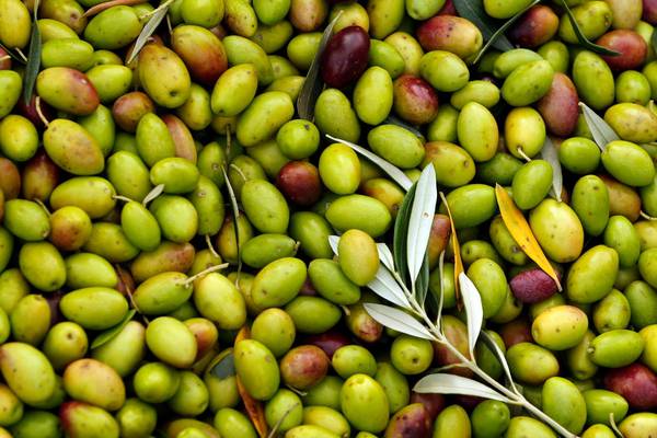 Sound-Off: ‘Take your olives and get stuffed’