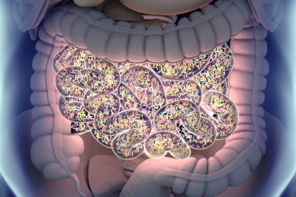 Anxiety may be alleviated by changing gut bacteria, study claims