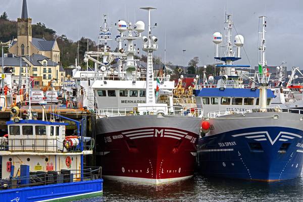 ‘Loophole’ sees Russian trawlers threaten lucrative Irish fishing sector