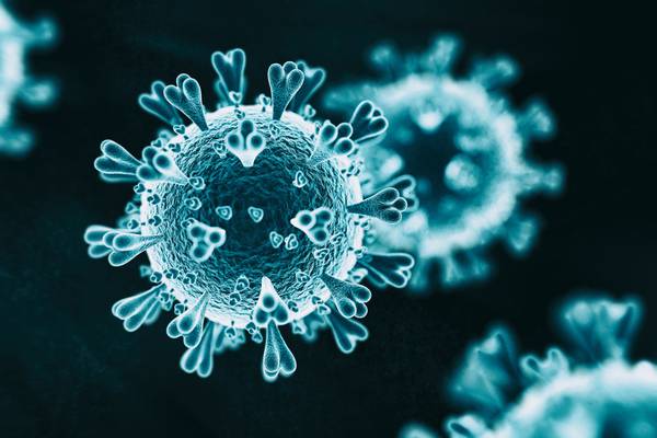 Start-ups urged to apply for EU funding to help combat coranavirus outbreak