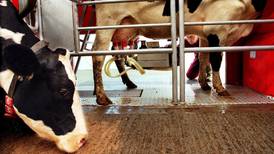 Dairy sector may face fine of €100m for oversupply