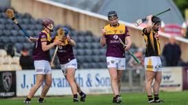 Offaly and Wexford into Leinster Under-20 hurling final