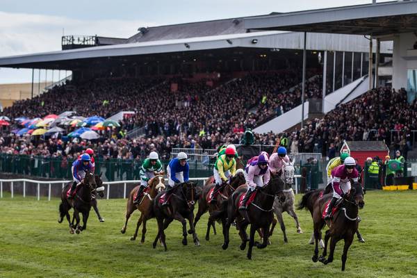 Punchestown may be used as coronavirus vaccination centre
