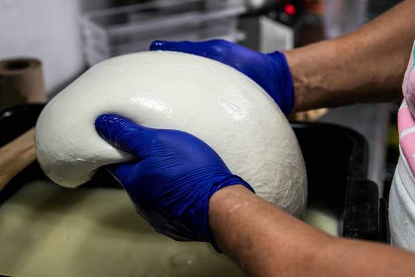 Carbery to extend cheese production into mozzarella