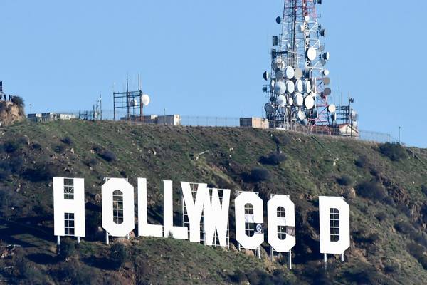 Man turns himself in after changing Hollywood sign to ‘Hollyweed’