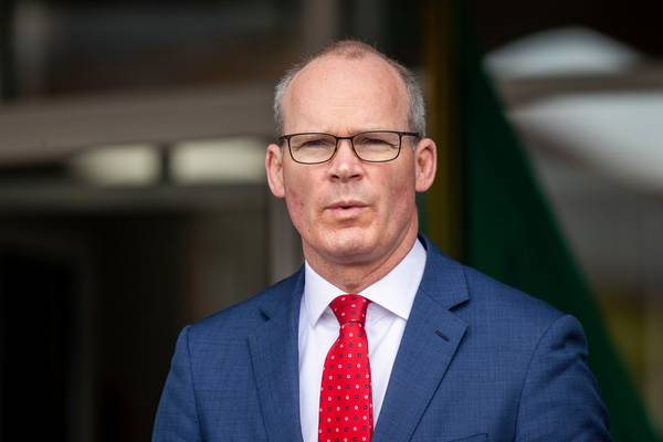 Coveney discusses case of detained Irish businessman with Chinese minister