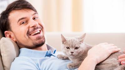 Donald Clarke: One man and his cat – the purrfect couple