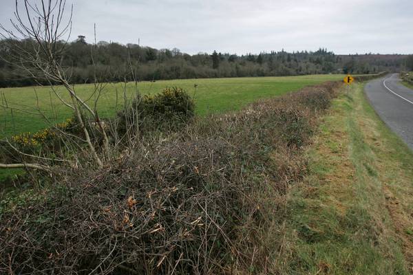 Hedgerows offer route to increased carbon sequestration on farms