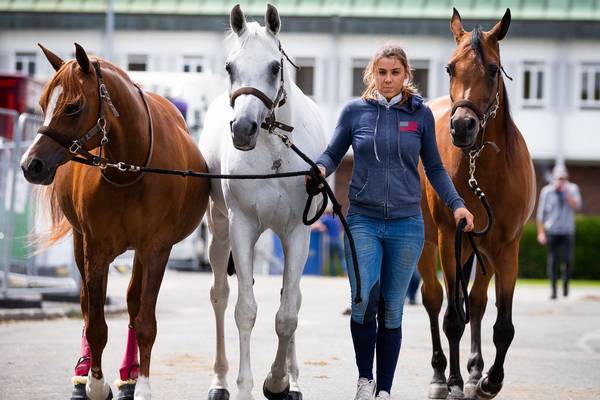 Horse manure can ‘contribute’ to reducing reliance on fossil fuels