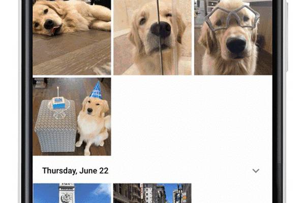 Google Photos’ pet recognition feature is paw-some