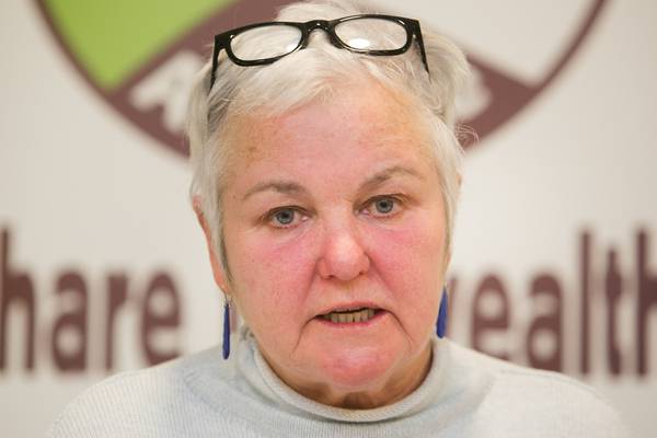 Bríd Smith claims some Greens ‘raging’ about prospect of coalition
