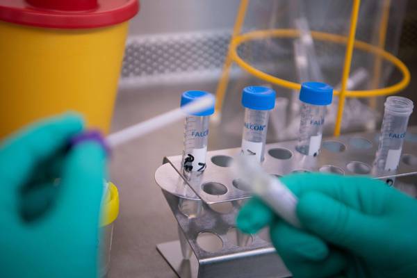 Coronavirus: Testing capacity up 20% in a week, says department