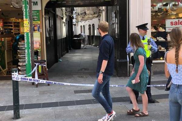 Up to 20 men involved in suspected planned attack after Dublin music festival