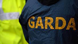 Labour expected to back moves for new Garda authority