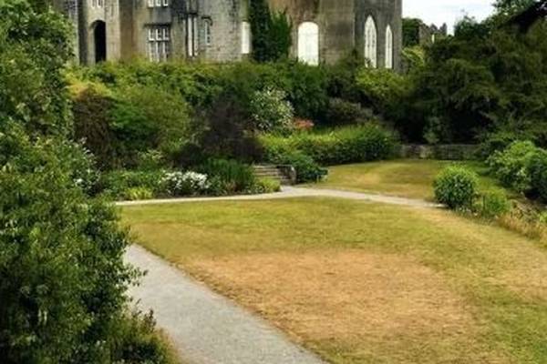 Heatwave reveals site of Birr Castle’s original ‘Black Castle’
