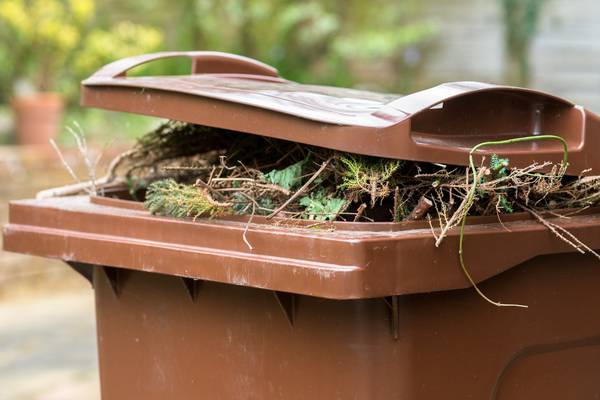 Are you strong enough for the nightmare within your brown bin?