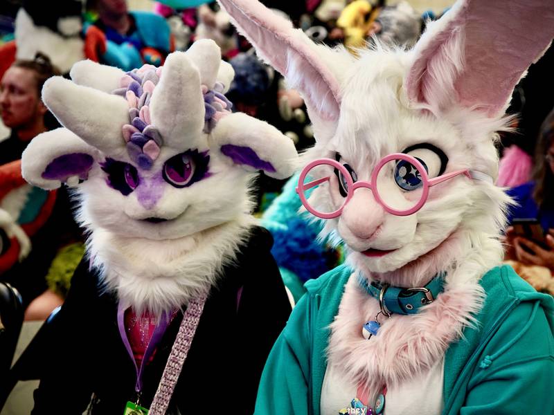 Fur & Loathing: an unsolved gas attack on a hotel and the  rise of Nazi furries 