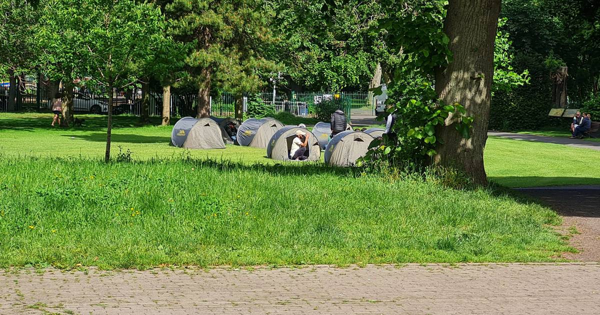 Accommodation organised for asylum seekers who have pitched tents in Herbert Park