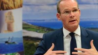 Coveney says Ireland may send another ship to the Mediterranean